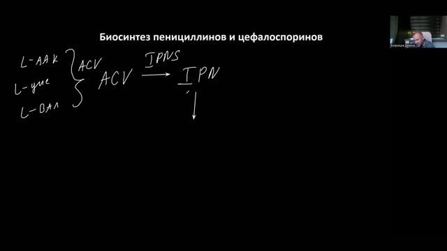 Биотехнология бета-лактамных антибиотиков. Метаболическая инженерия. Промышленное производство