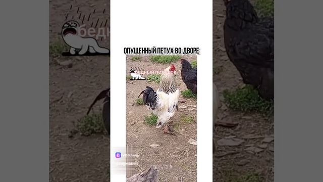 92670868811b23fa134bcd5de859c21a