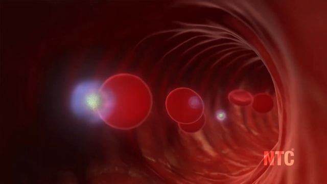 Эксклюзивная концепция транспортировки питательных веществ