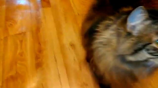 Смешные приколы №08.