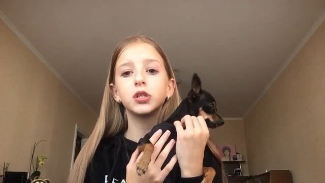 ИСТОРИИ: МОЮ СОБАКУ БИЛИ ДЕТИ?!🤯