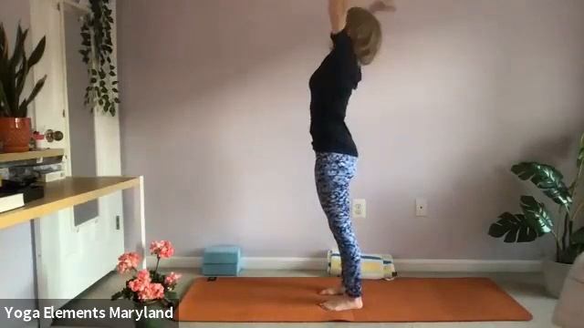 Yoga W/ Mo - 10am - Saturday, April 24th