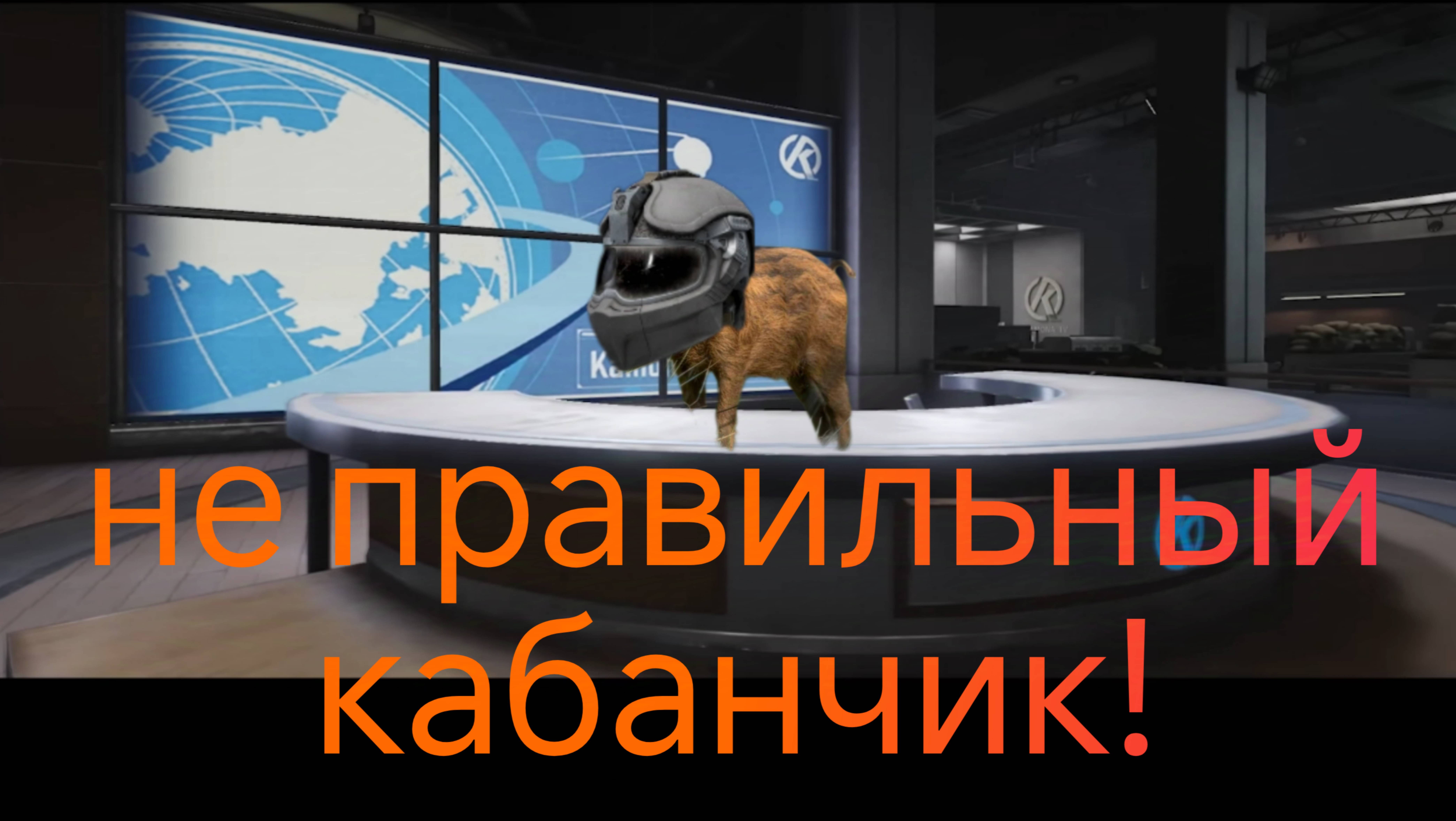 Упустили кабана😃