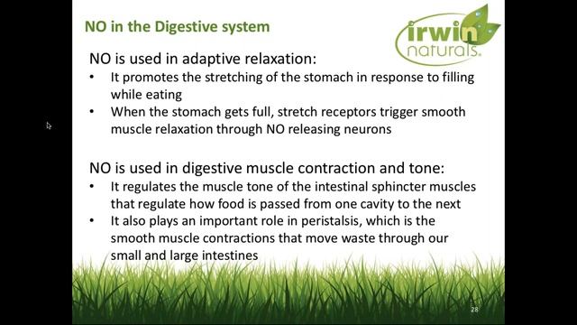 Irwin Naturals | Learn About Nitric Oxide Supplements
