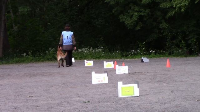 Виктория Жданова Frei Wind Centurion ралли обиденс РО2 15.06.19 1 трасса