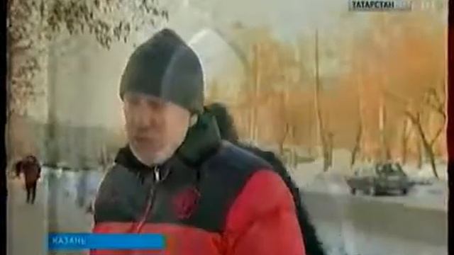 Казань  Бродячие собаки