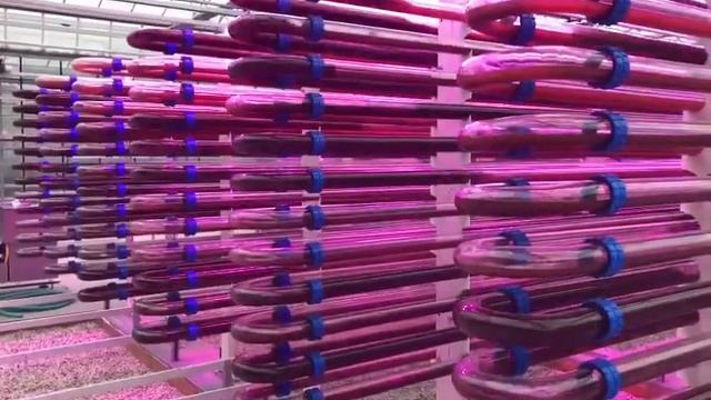 C5c31df4f9cfbe1a38502602155a8b6b