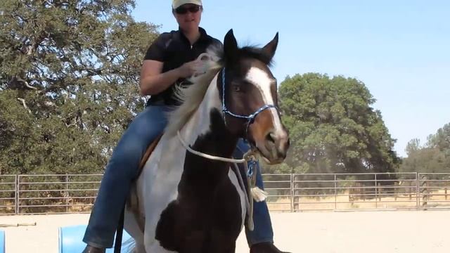 Sirius To Tyler Yoyo