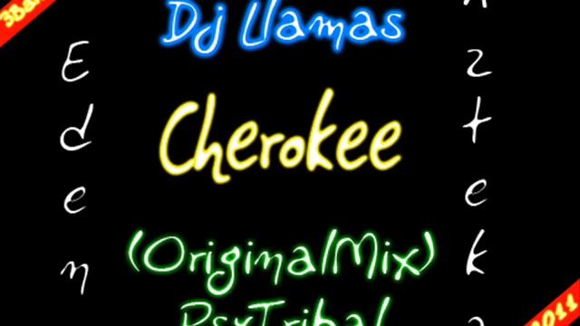 Cherokee Tribal - Dj Llamas (OriginalMix) 2011