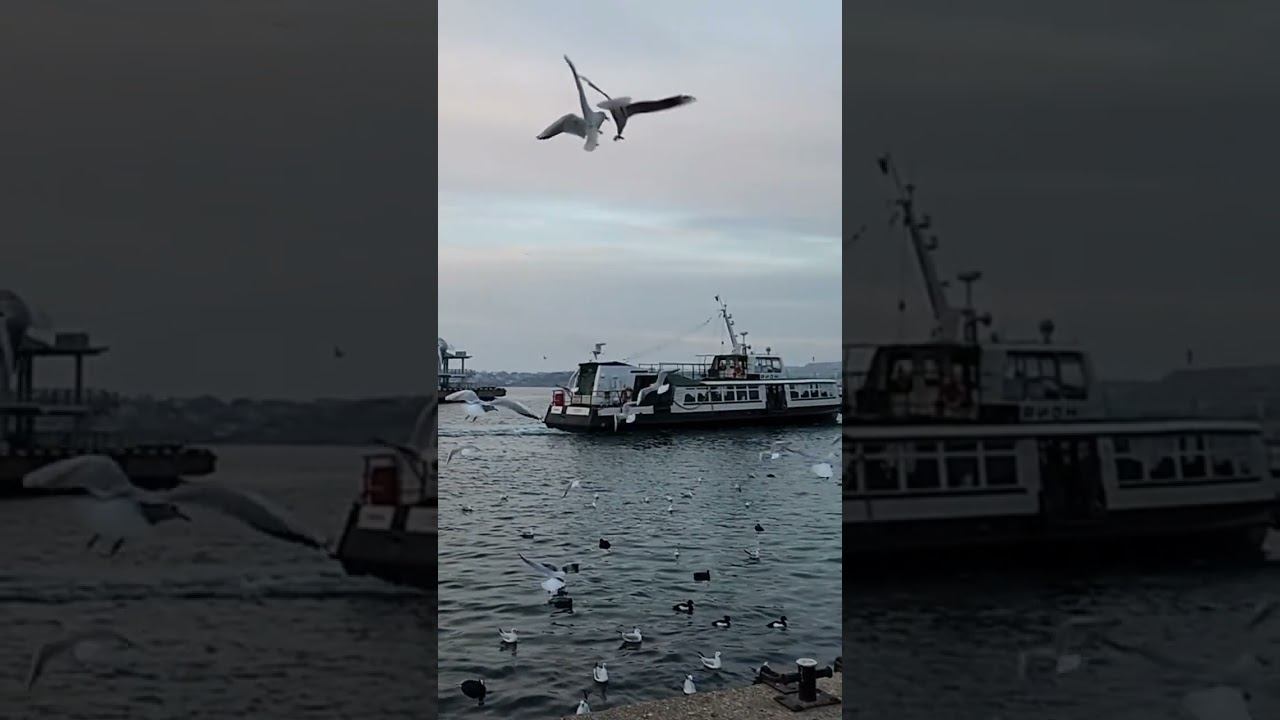 E662dea3172da31b8a3d8c18a9f46389