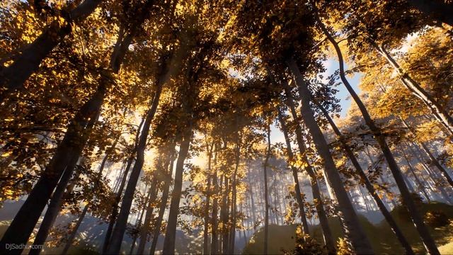 The Space Between Thoughts (chillout Music)