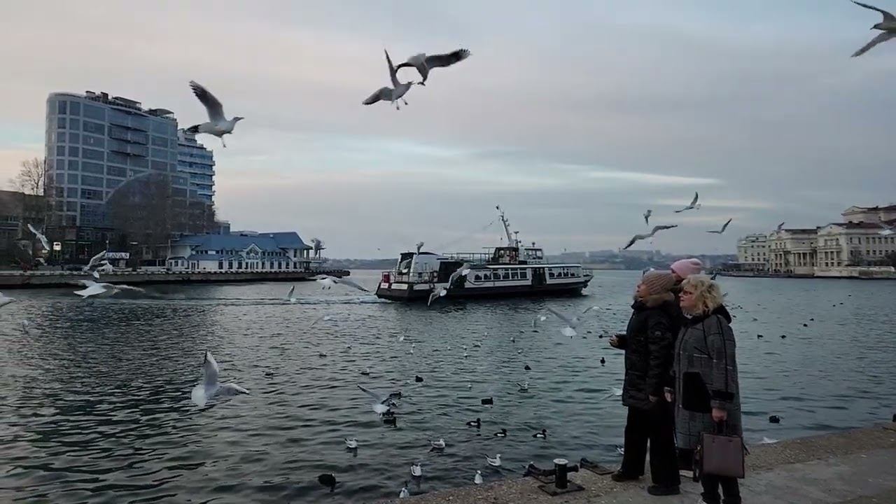 7c22401680dc6e36ca91343a11185ccc