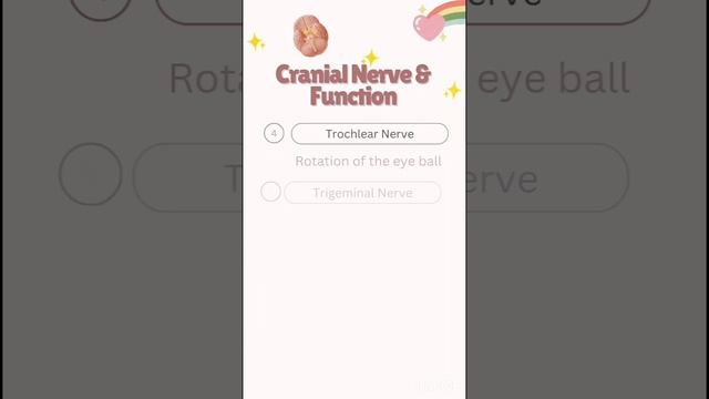 Cranial Nerve & Its Function In Tamil  @lovemedics #lovemedics #biology #neurology
