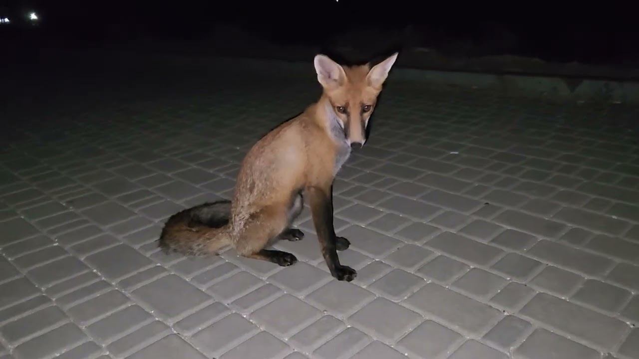 98746bfea8ed986ea1831aacb90837f5