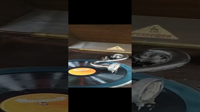 VID_20240710_153903.mp4
