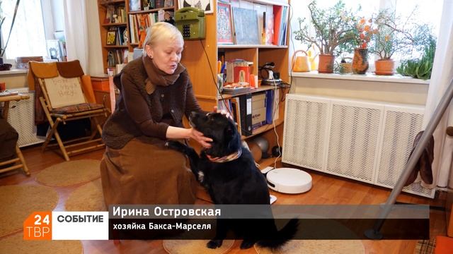 0648f3ec92fb67effc78317ab4b2c55c