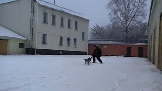 малинуа Ружа