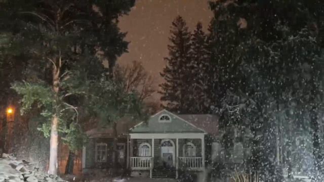 Зимний декабрьский снег.