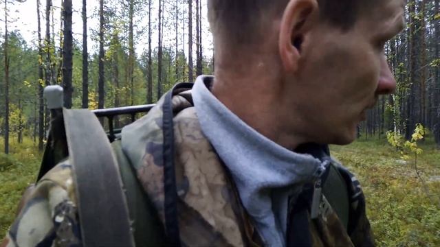 Забавные истории о домашних животных