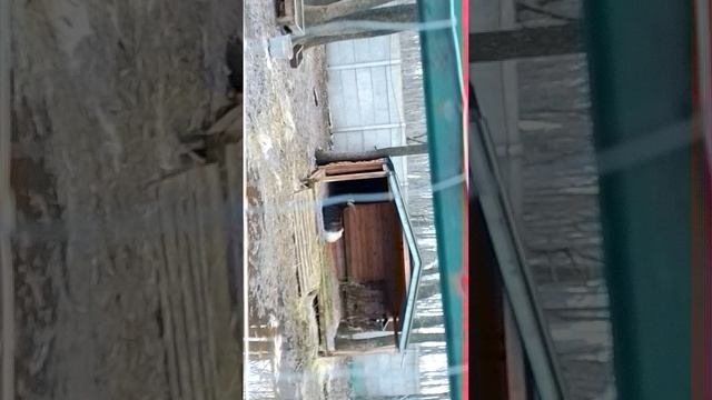 Фельдман Экопарк . Харьков