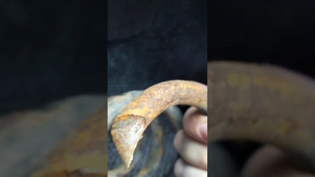 European Car Enthusiasts Association