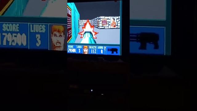 Killing Hitler In Wolfenstein 3D