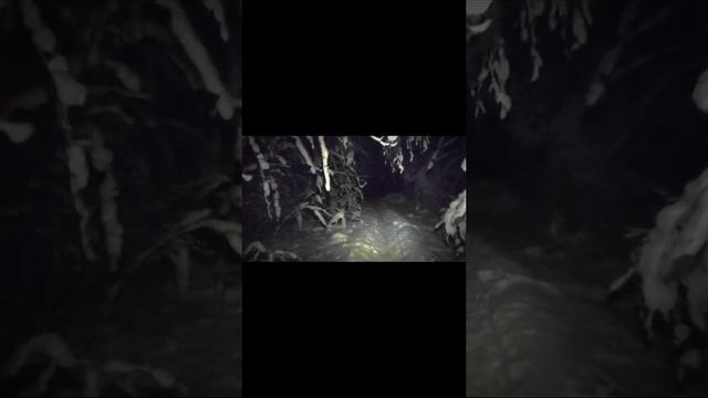 Mp5* уже не смешно