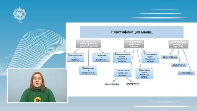 Анатомия человека Лекция 3 1