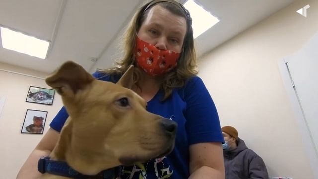 0712 ОТВЕТИТ ПО ЗАКОНУ?