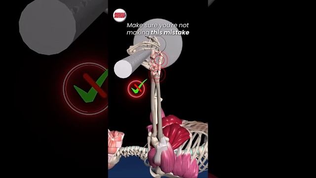 Правильный хват на жиме штанги лёжа