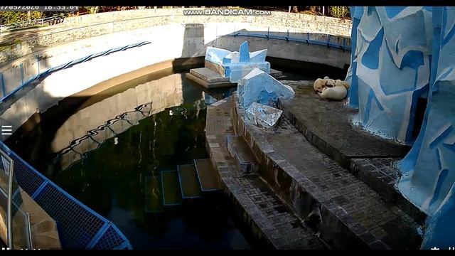 Вот какие мы большие и красивые выросли! 07.05.2020