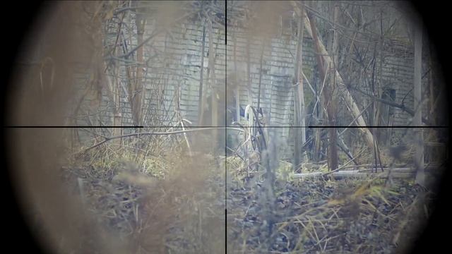 SniperAirsoft Gameplay # 15, SPB