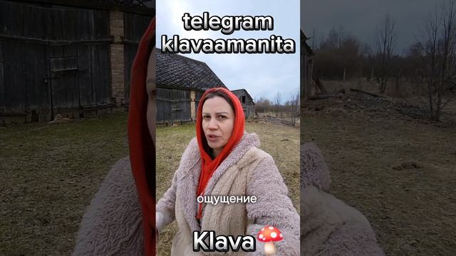 Пантерная Клава, 1.5 гр откровение инсайт.Я дышу а значит я живу..
