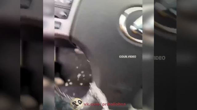 37f01bf4675403fdd2795fd43a861e46