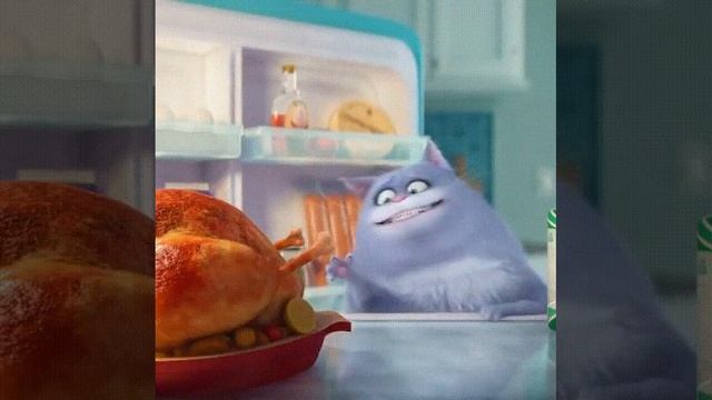 Котячея диета все поможет 😄😄😄