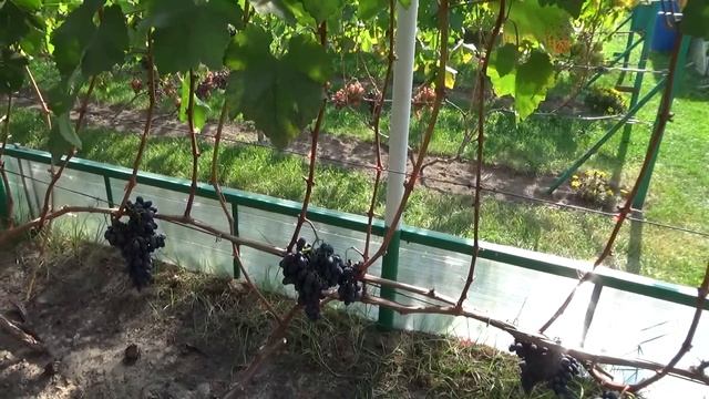 E0a4999269b8a7f1683031650ffeceb0