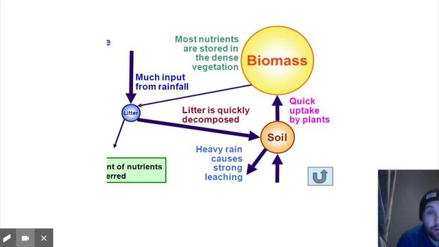 Nutrient Cycle Video - GCSE Geography