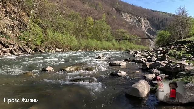 Свекровь принялась наговаривать на Иру, пока не развела её с мужем, но вскоре...