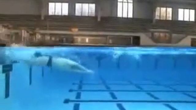 Michael Phelps - L'uomo Dei Record