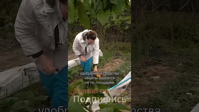 Дачный агроном