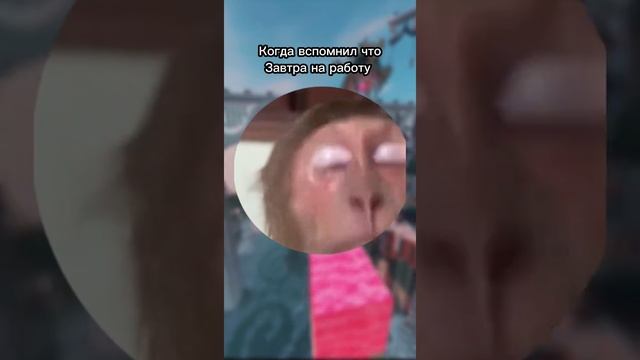 Сколько боли в глазах....