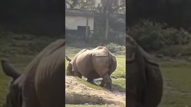 1bcc18b9d95815d98d85f5461ff09f09