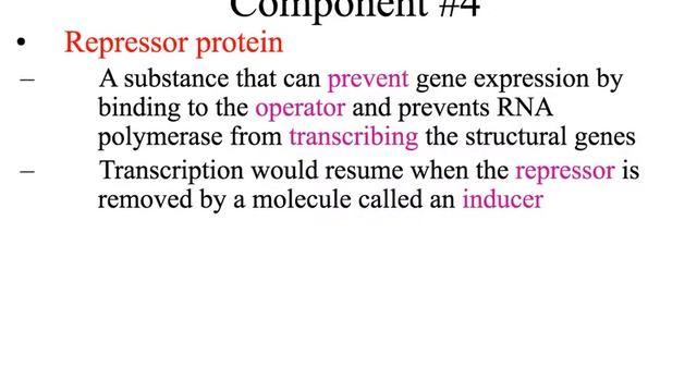 Operons AP Bio