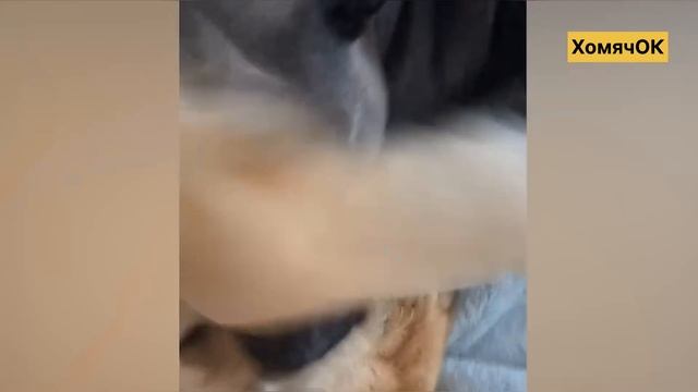 84807fd85c4f160fc56e6a710bb3ac3f