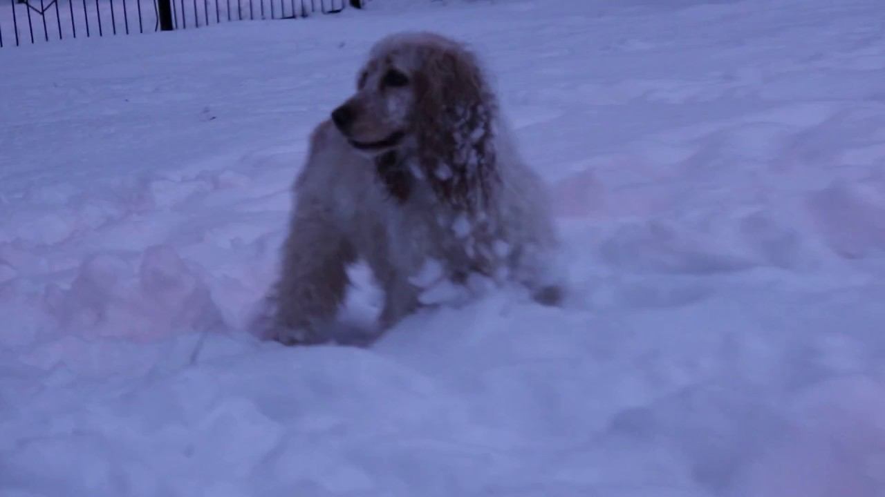 Зимняя Эмили :)