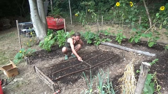 Parte 1 Impianto Irrigazione A Goccia,  Parte 2 Messa A Dimora Cavoli Cinesi E Verza In Orto No Dig