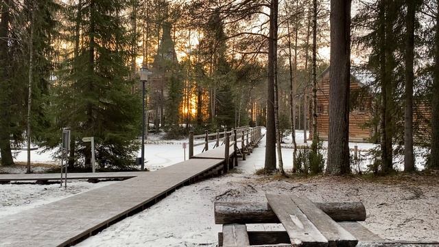 Поздняя осень в Малых Карелах 2024