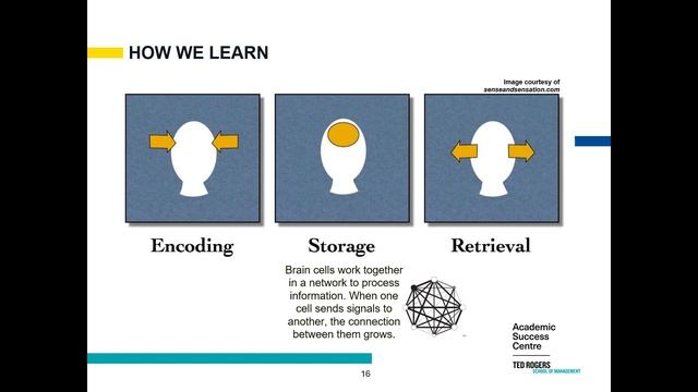 TRSM PASS: Preparing For Final Exams