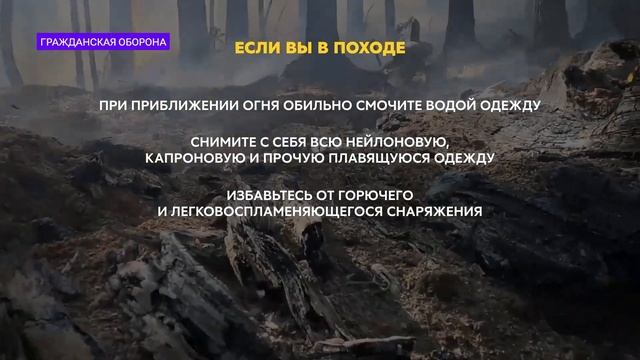 Правила безопасности на летних шашлыках на природе / «Гражданская оборона»