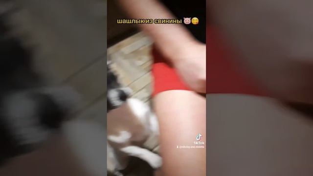 шашлык из свинины 👍👍👍